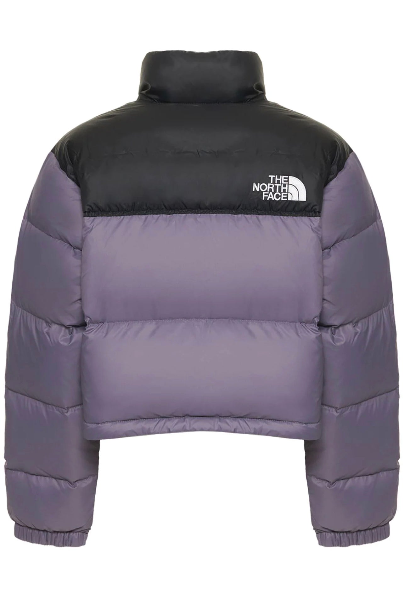 GIUBBINO THE NORTH FACE NUPTSE-CROPPED