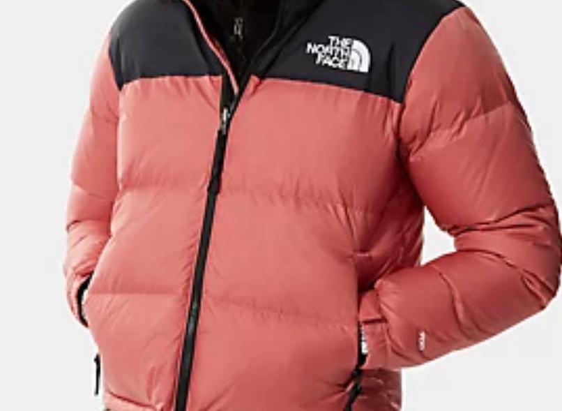 GIUBBINO THE NORTH FACE PLUS/NERO